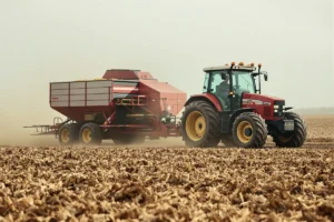 Prix de la pomme de terre : sécheresse et surcapacités prennent la filière de la frite en étau